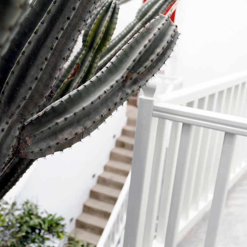 Fresh Boutique Hotel Mykonos Town Bagian luar foto